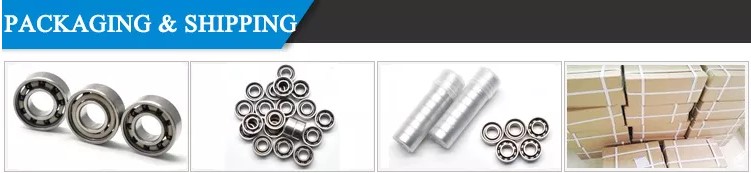 PEEK cage ceramic bearing package.jpg